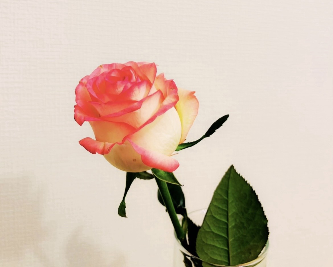 ワークショップ１