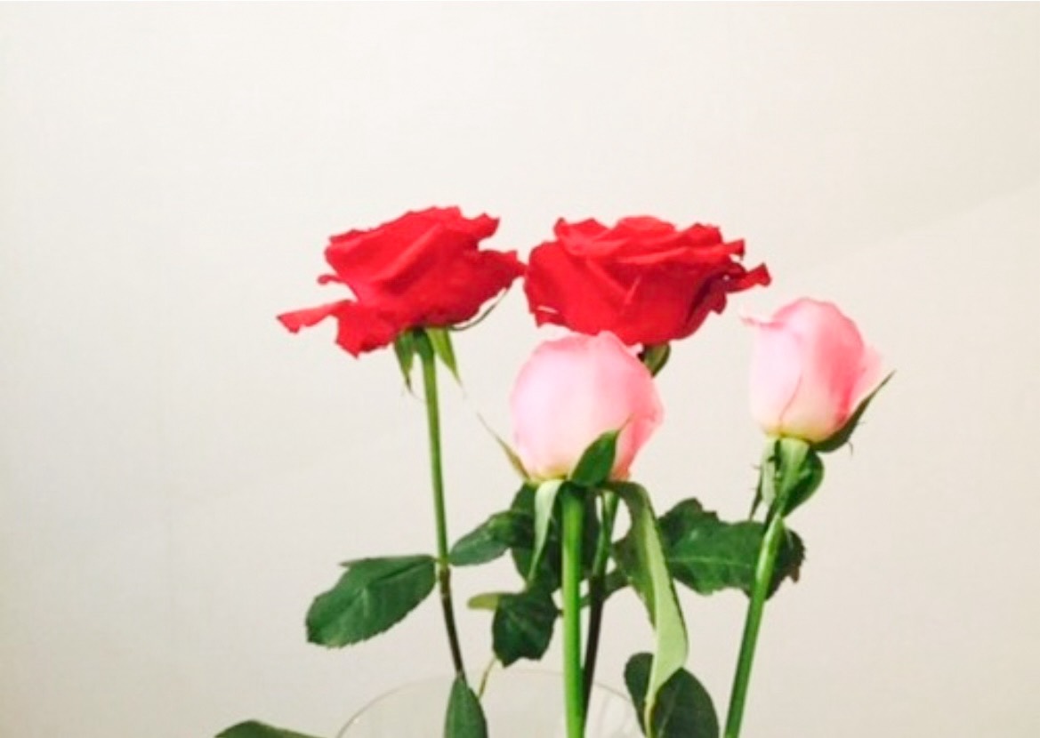 touch for me.  /   touch for  life.